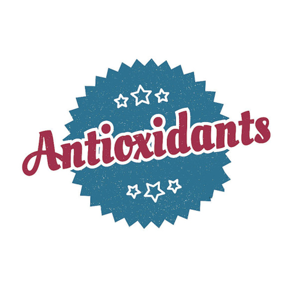 What are the differences between amine antioxidants and phenolic antioxidants?