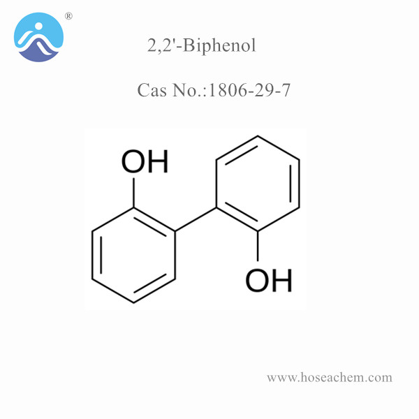  2,2'-Biphenol