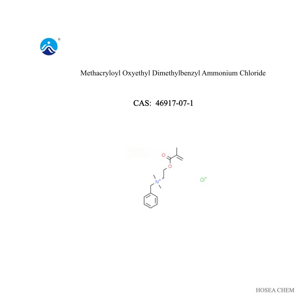  Methacryloyl Oxyethyl Dimethylbenzyl Ammonium Chloride