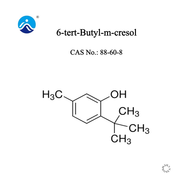 6-tert-Butyl-m-cresol
