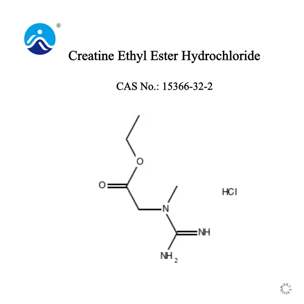 Creatine Ethyl Ester Hydrochloride
