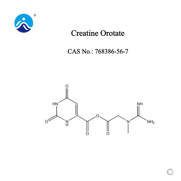 Creatine Orotate