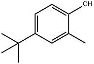 4-tert-butyl-o-cresol