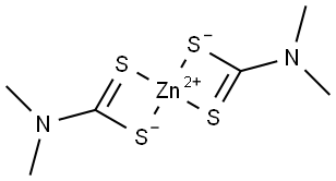 Zinc Dimethyldithiocarbamate|Cas 137-30-4|Accelerator PZ|Rubber Accelerator|China|Manufacturer|Factory|Supplier|Exporter-Hosea Chem