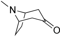 Tropinone|CAS 532-24-1|3-Tropanone|China|Manufacturer|Factory|Supplier-Hosea Chem