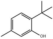 6-tert-Butyl-m-cresol, CAS 88-60-8, Molecular Formula C11H16O
