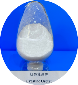 Creatine Orotate, CAS 768386-56-7, Appearance: white crystal powder Creatine Orotate, CAS 768386-56-7, Appearance: white crystal powder