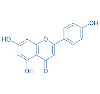 Apigenin, CAS 520-36-5, Molecular,Formula: C15H10O5