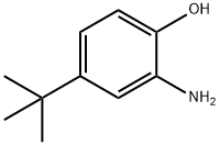 2-Amino-4-tert-butylphenol, CAS 1199-46-8, Molecular Formula: C10H15NO